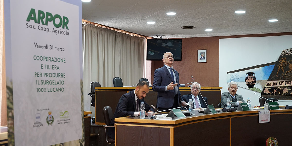 Arpor cresce e valorizza la filiera del carciofo